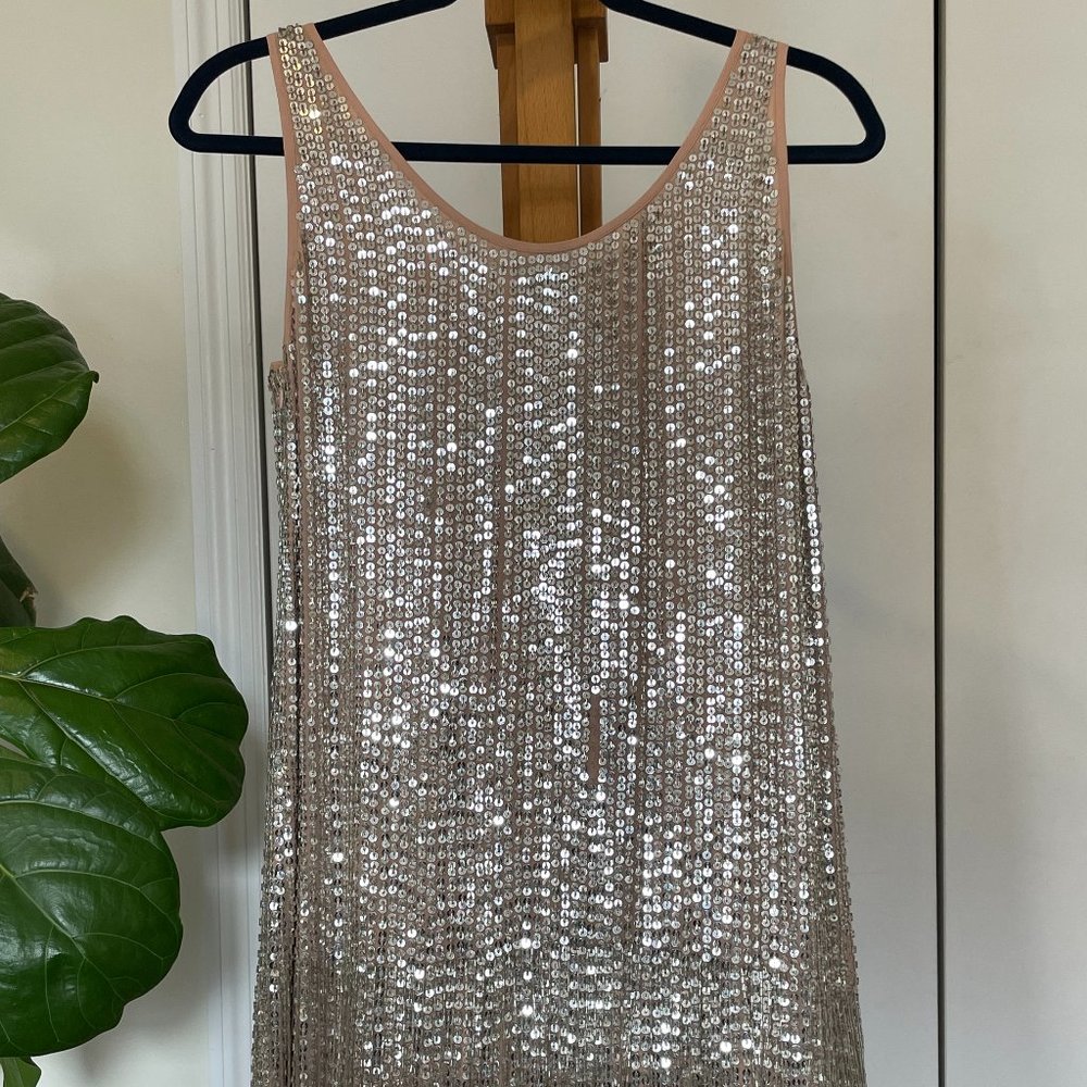 Sequined Beaded Silk Flapper Dress - Haute Hippie - Silver Nude